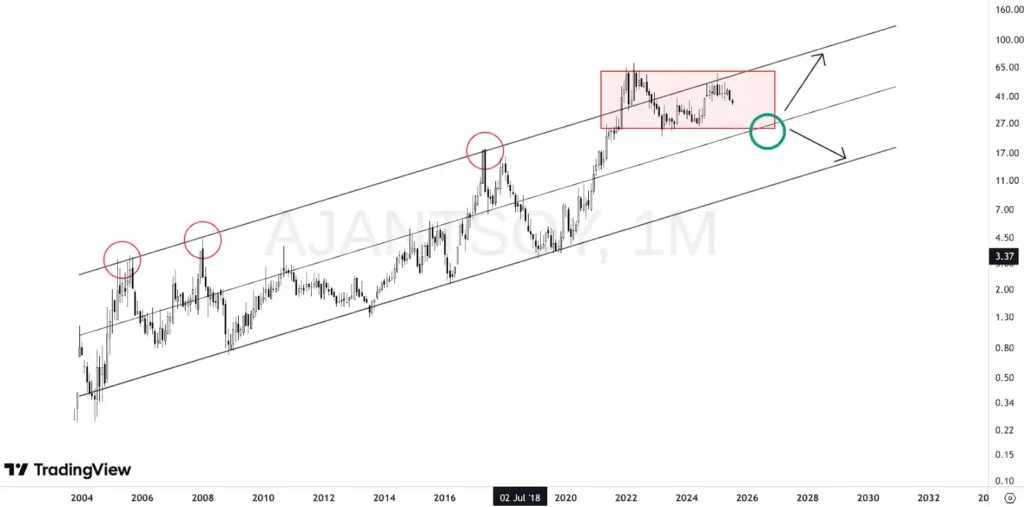 Ajanta Soya Ltd technicals